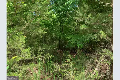 1208 Hornets Bridge Drive, Elberton, GA 30635 - Photo 6