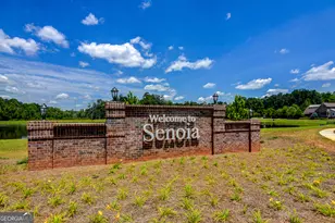 285 Savannah Dr, Senoia, GA 30276 - Photo 46