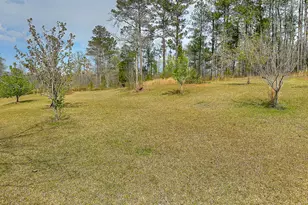 4642 New Franklin Rd, Hogansville, GA 30230 - Photo 54