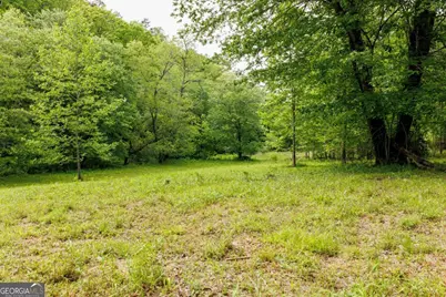 0 Galloway Road, Blue Ridge, GA 30513 - Photo 6
