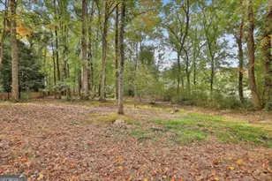 20 Audubon Point, Newnan, GA 30265 - Photo 38
