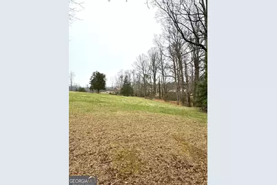 316 Bar Rod Road, Demorest, GA 30535 - Photo 4