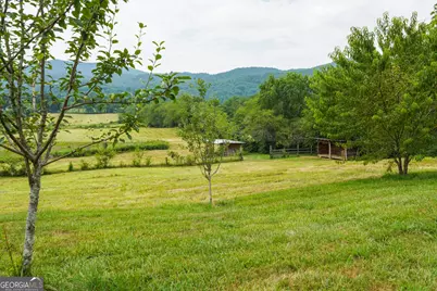 5192 Wolffork Road, Rabun Gap, GA 30568 - Photo 10