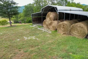 5192 Wolffork Rd, Rabun Gap, GA 30568 - Photo 8