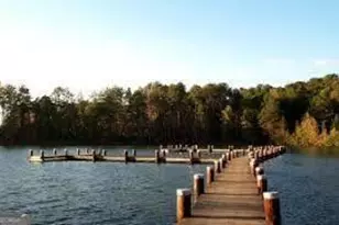 114 Vivian Ln, Peachtree City, GA 30269 - Photo 60