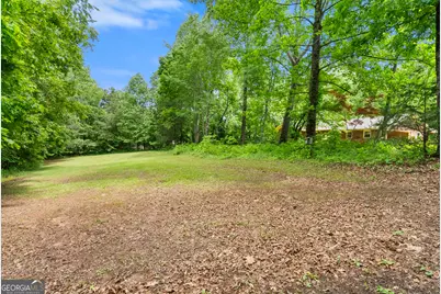 250 Truelove Road, Cleveland, GA 30528 - Photo 46