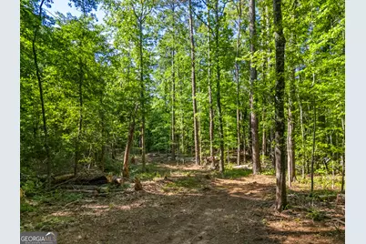 0 Oak Road, Jenkinsburg, GA 30234 - Photo 14