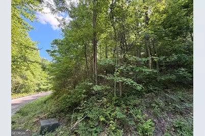 C Shake Hollow, Rabun Gap, GA 30568 - Photo 4
