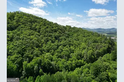 A Shake Hollow, Rabun Gap, GA 30568 - Photo 8