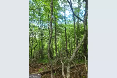 B Shake Hollow, Rabun Gap, GA 30568 - Photo 12