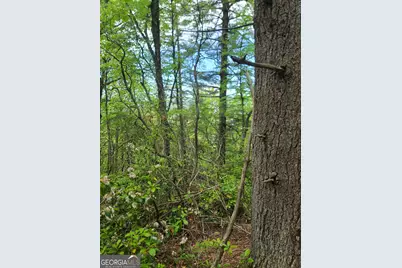 B Shake Hollow, Rabun Gap, GA 30568 - Photo 10