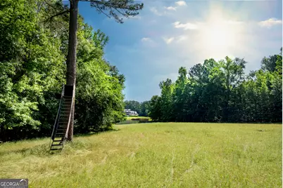2720 Doster Road, Madison, GA 30650 - Photo 46