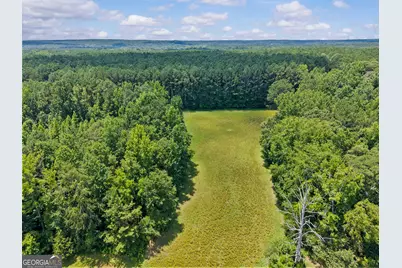 2720 Doster Road, Madison, GA 30650 - Photo 54