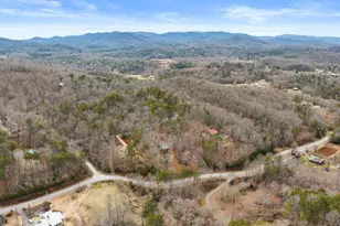 48 Timber Ridge Rd, Blue Ridge, GA 30513 - Photo 4