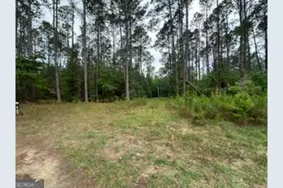 3115 Deer Run Road, Statesboro, GA 30461 - Photo 10