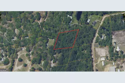 0 Twin Flower Trail, Hortense, GA 31543 - Photo 2