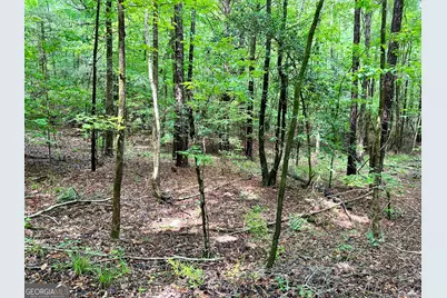 0 Big Oak Drive, Elberton, GA 30635 - Photo 6