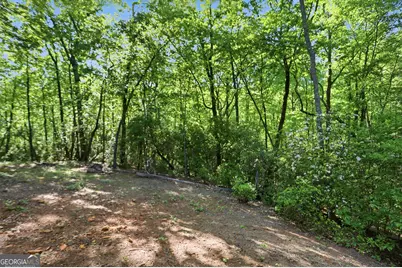 702 Ranch Mountain Drive, Dahlonega, GA 30533 - Photo 34