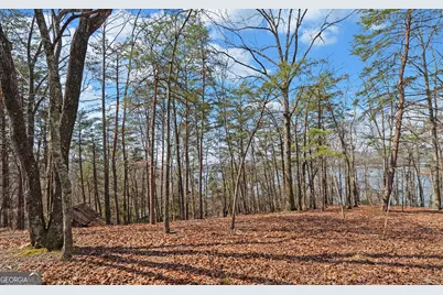 2290 Boy Scout Camp Road, Gainesville, GA 30501 - Photo 10