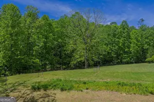 153 January Ln, Ellijay, GA 30540 - Photo 46