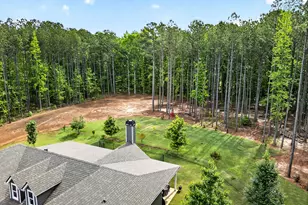 31 Ozark Woods Dr, Newnan, GA 30263 - Photo 62