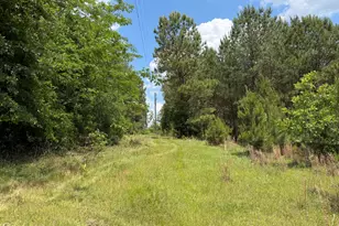 007 Long Branch Rd, Toomsboro, GA 31090 - Photo 1