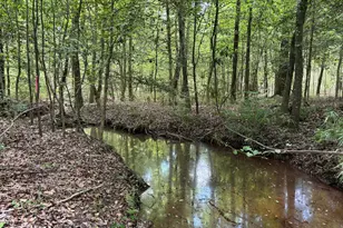 025 Long Branch Rd, Toomsboro, GA 31090 - Photo 1