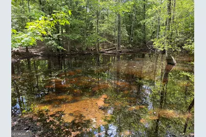 025 Long Branch Rd, Toomsboro, GA 31090 - Photo 6