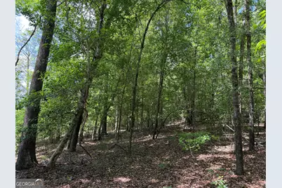 025 Long Branch Rd, Toomsboro, GA 31090 - Photo 8