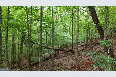 Lot 16 Morris Trail, Cleveland, GA 30528 - Photo 2