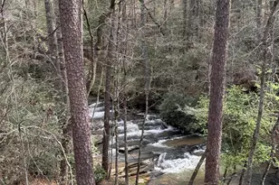 199 Camelia Ln, Tiger, GA 30576 - Photo 18