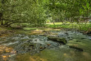 30 Stanley Creek Crossing, Cherry Log, GA 30522 - Photo 4