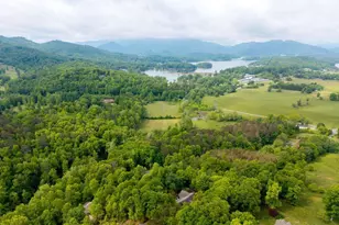 1894 Bell Eagle Dr, Hiawassee, GA 30546 - Photo 42