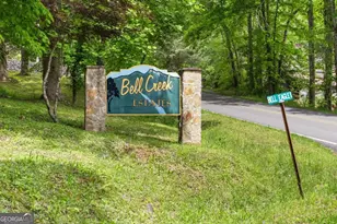 1894 Bell Eagle Dr, Hiawassee, GA 30546 - Photo 44