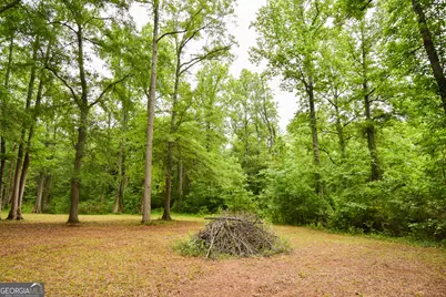 0 Hemphill Road, Griffin, GA 30224 - Photo 18