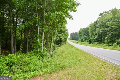 0 Hemphill Road, Griffin, GA 30224 - Photo 8