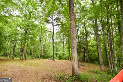 0 Hemphill Road, Griffin, GA 30224 - Photo 12