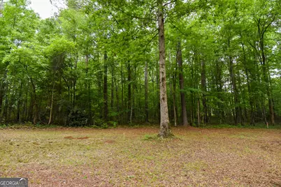 0 Hemphill Road, Griffin, GA 30224 - Photo 20
