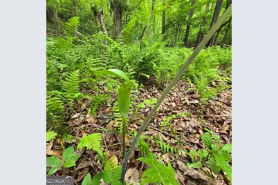 3.5Acre Dusty Trail, Morganton, GA 30560 - Photo 20