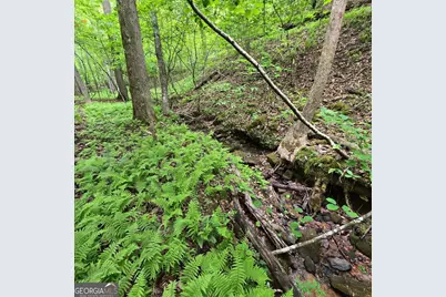 3.5Acre Dusty Trail, Morganton, GA 30560 - Photo 18