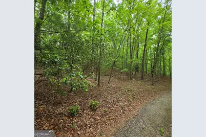 3.5Acre Dusty Trail, Morganton, GA 30560 - Photo 4