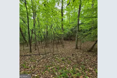 3.5Acre Dusty Trail, Morganton, GA 30560 - Photo 6