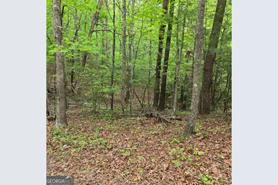 3.5Acre Dusty Trail, Morganton, GA 30560 - Photo 36