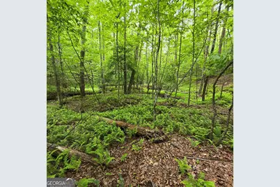 3.5Acre Dusty Trail, Morganton, GA 30560 - Photo 14