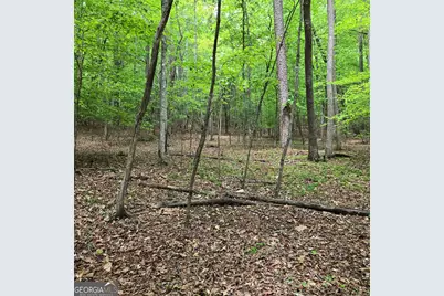 3.5Acre Dusty Trail, Morganton, GA 30560 - Photo 28