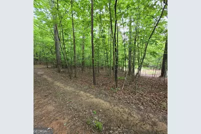 3.5Acre Dusty Trail, Morganton, GA 30560 - Photo 2