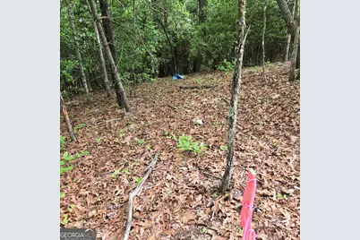 3.5Acre Dusty Trail, Morganton, GA 30560 - Photo 30