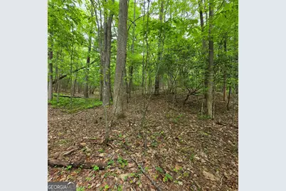 3.5Acre Dusty Trail, Morganton, GA 30560 - Photo 12