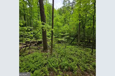 3.5Acre Dusty Trail, Morganton, GA 30560 - Photo 26