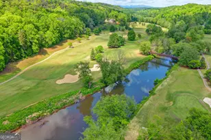 10 Cavender Run, Dahlonega, GA 30533 - Photo 146